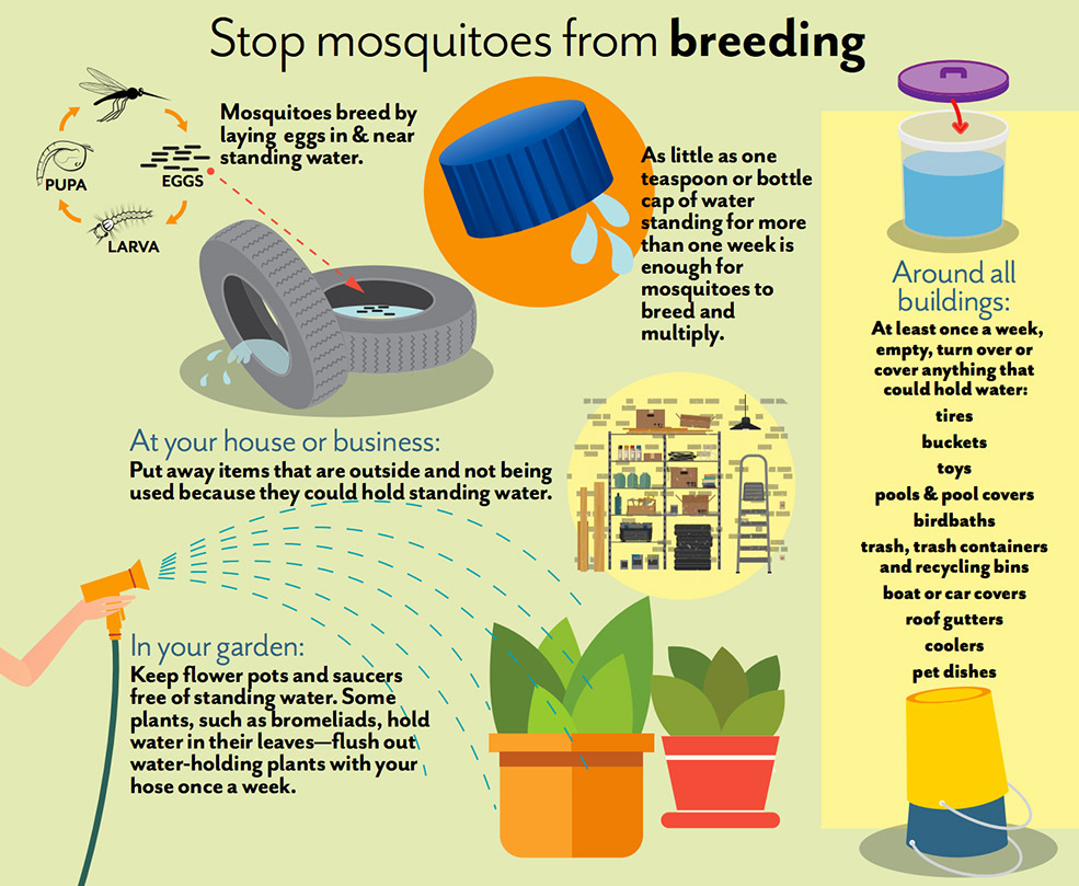 Proactive Tips Weather and Mosquitoes