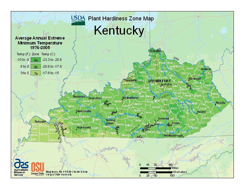 Plant Hardiness Zones Kentucky Climate