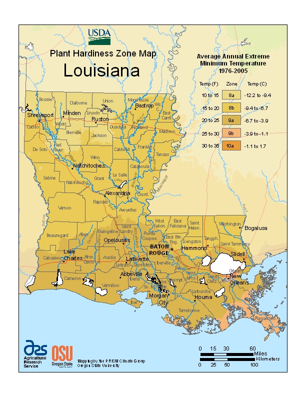 Plant Hardiness Climate of Louisiana