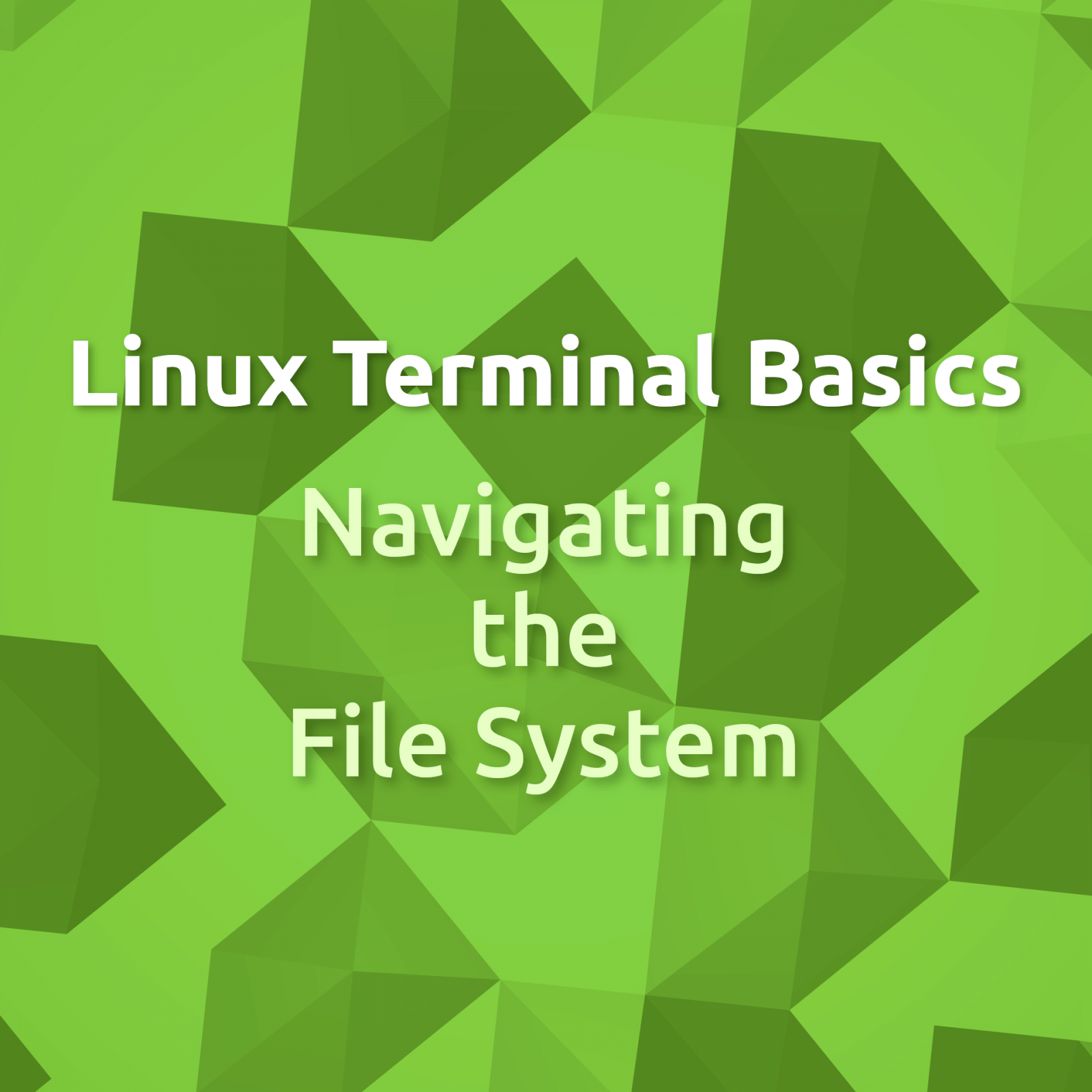Linux Terminal Basics Navigating the File System York Computer