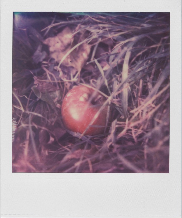 Starting a New Chapter in Instant Photography History Learn