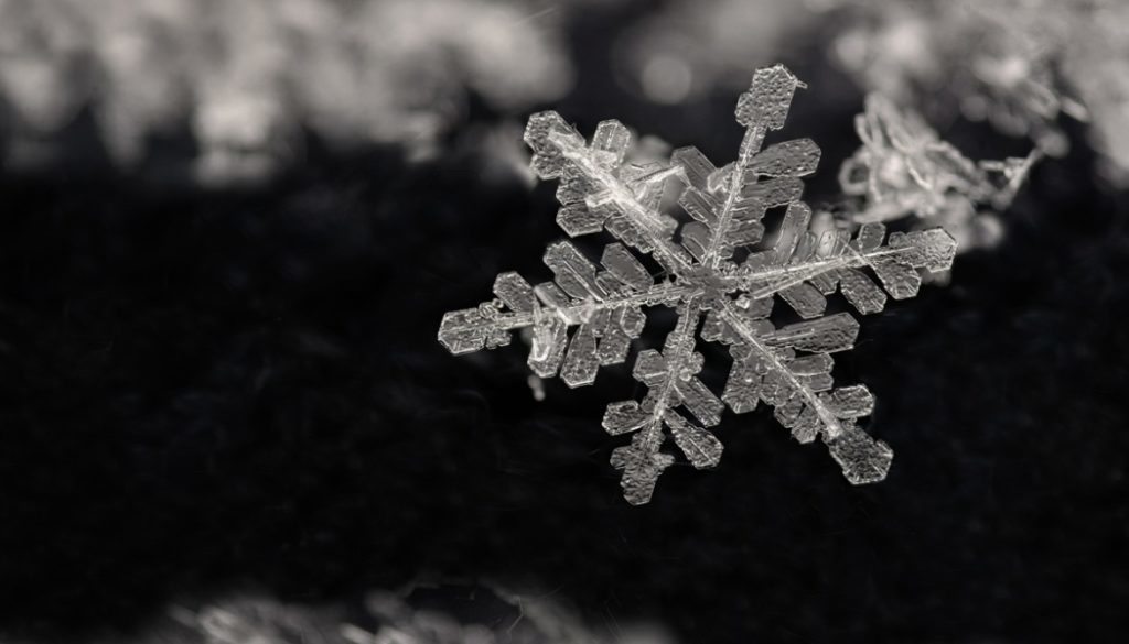 How to Photograph Snowflakes Learn Photography by Zoner Photo Studio