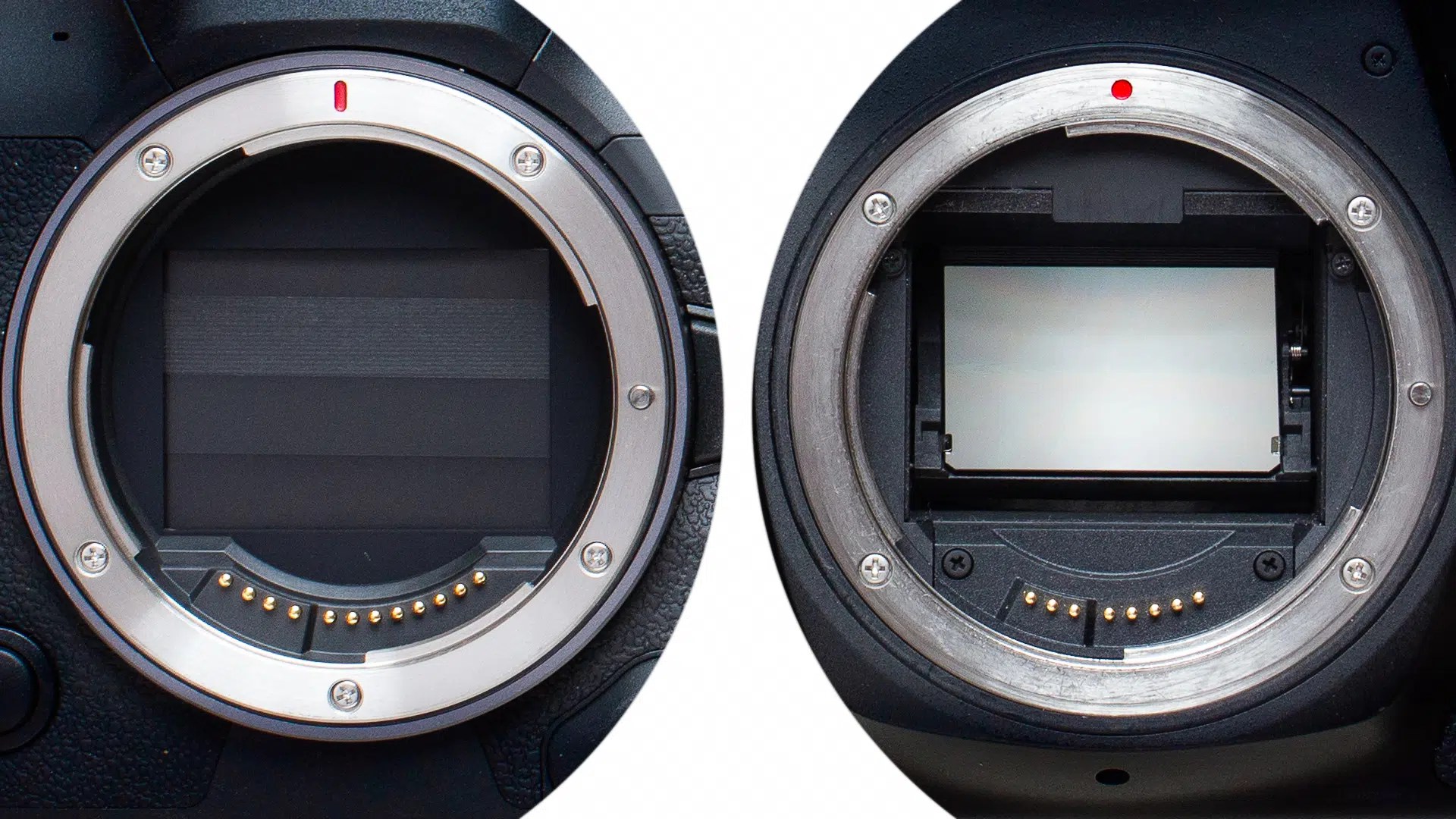 Comparing digital singlelens reflex (DSLR) and mirrorless