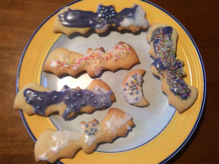 Bat biscuit recipe Learn About Bats