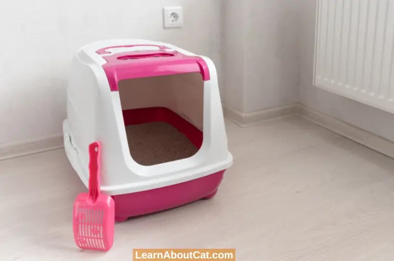 How to Keep Cat Litter Off the Floor? [Asnwered] LearnAboutCat