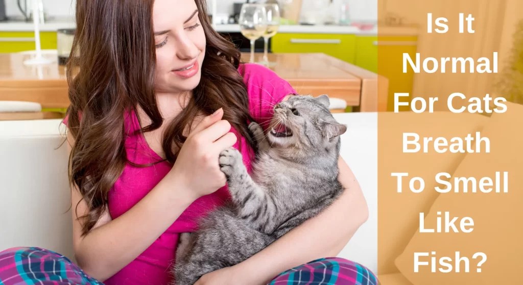 Is It Normal For Cats Breath To Smell Like Fish? [Explained