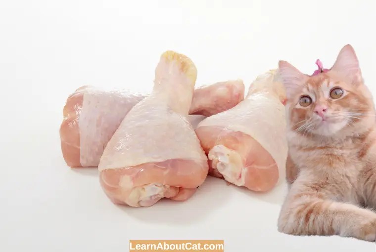 Can Cats Eat Cooked Chicken Bones? Cooked Vs. Raw [Explained
