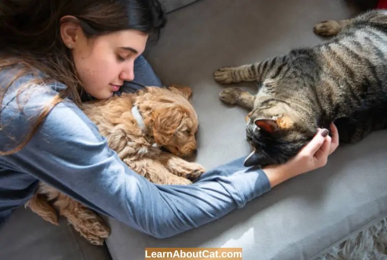 Am I Allergic To Cats Or Dogs