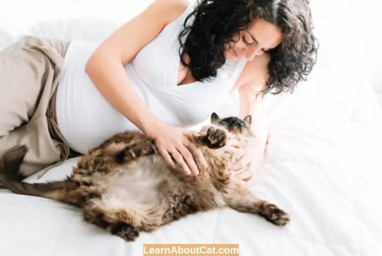 Do Cats Get Clingy When You Are Pregnant? All You Need To Know