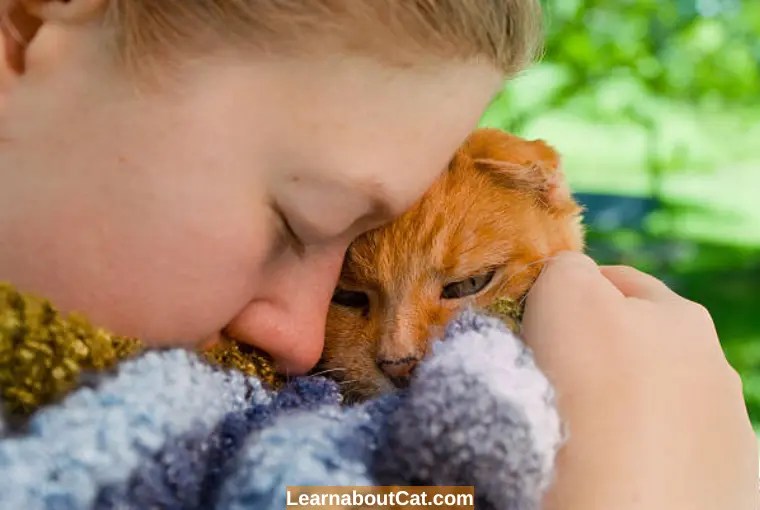 How To Comfort A Dying Cat? Ways to Provide Peace and Love in Their