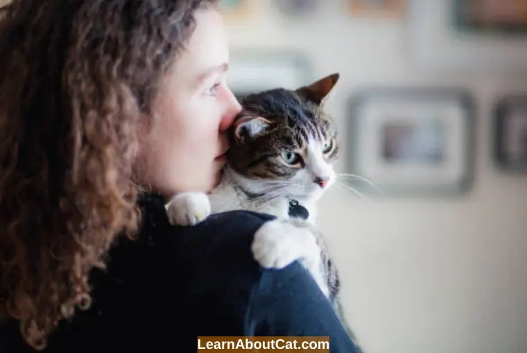 Do Cats Get More Affectionate With Age? All You Need To Know