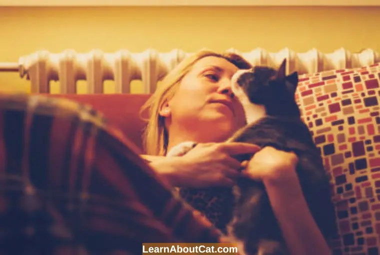 Why Does My Cat Meow at Night When I Go to Bed? Reasons You Should Know LearnAboutCat