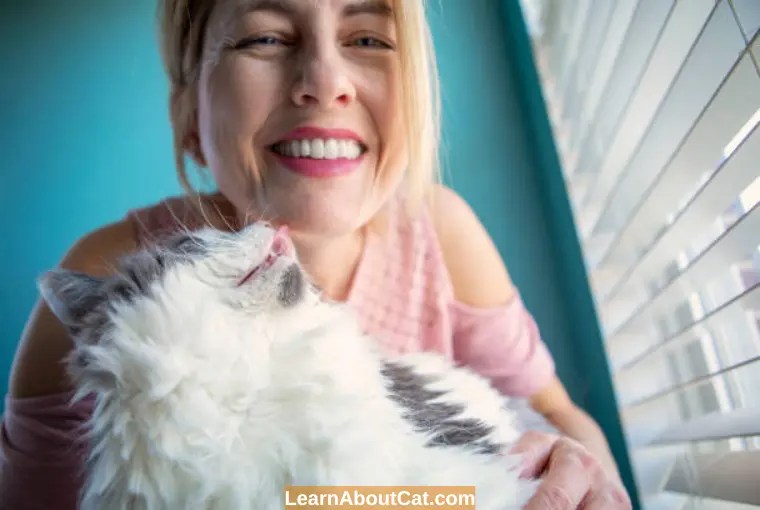 Why Does My Cat Lick My Face? [Explained] LearnAboutCat
