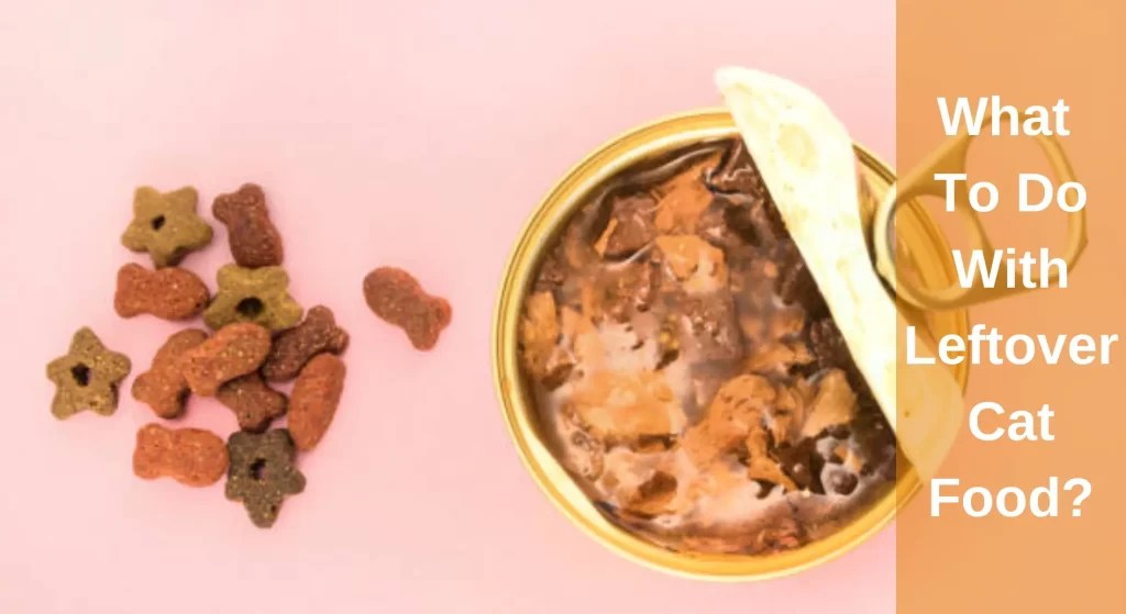 What To Do With Leftover Cat Food? [Explained] LearnAboutCat