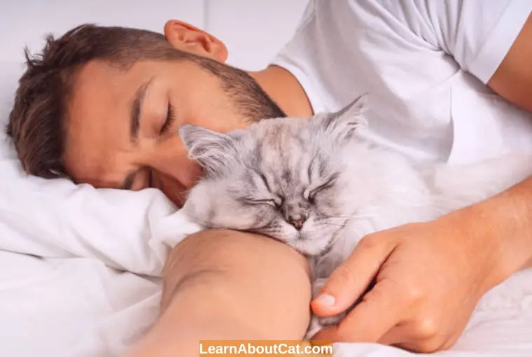 Why Do Cats Get In Your Face While You Sleep? [Top 10 Reasons] LearnAboutCat