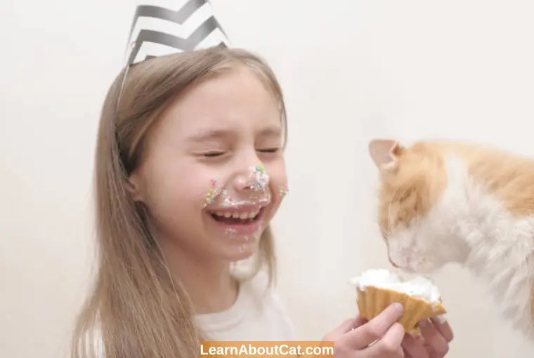 Can Cats Eat Cake? [Answered] LearnAboutCat
