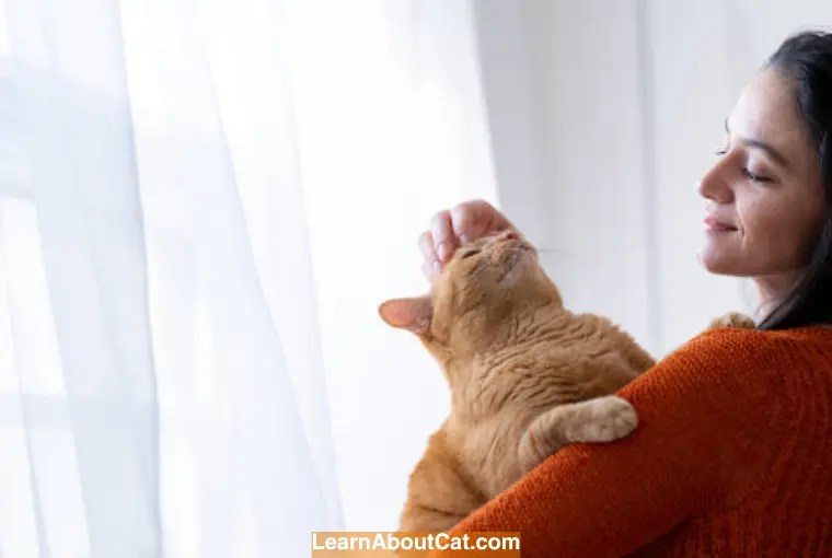 Why Are Orange Tabby Cats So Affectionate? Interesting Facts