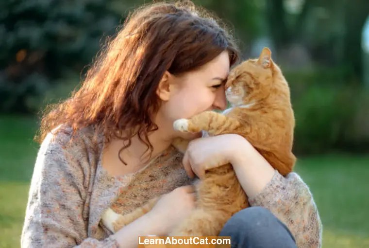 Why Are Orange Tabby Cats So Affectionate? Interesting Facts