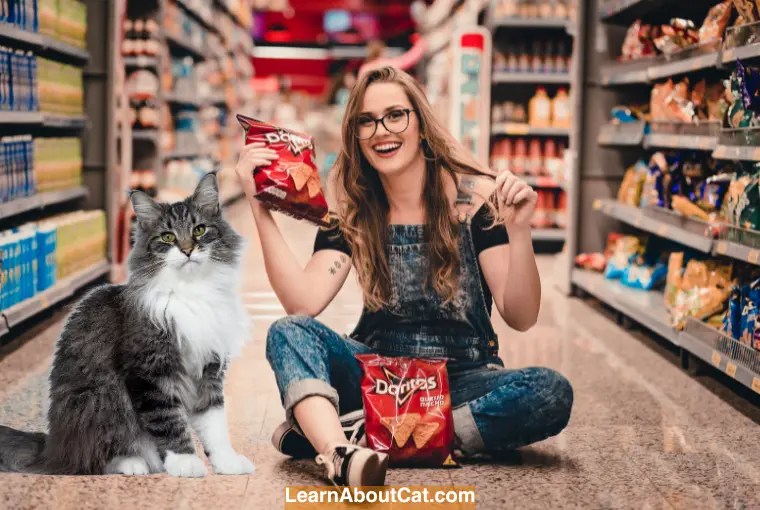 Can Cats Eat Doritos? An InDepth Look into the Risks and Benefits