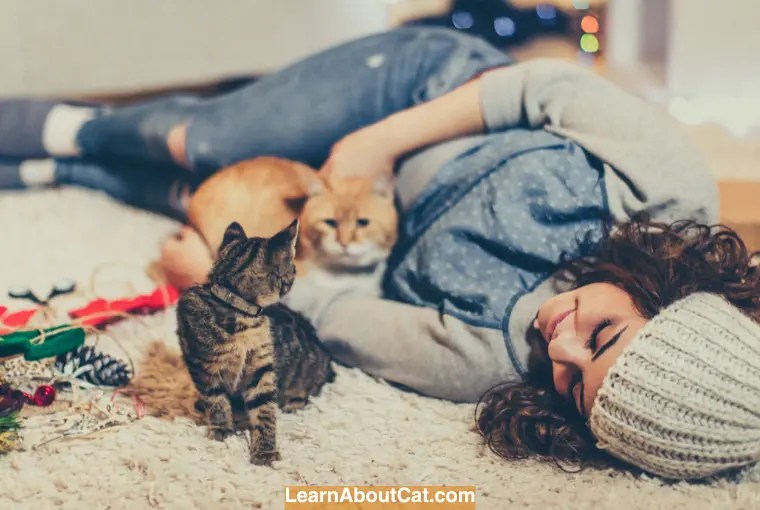 Why Is My Cat So Affectionate All of a Sudden?[Answered] LearnAboutCat