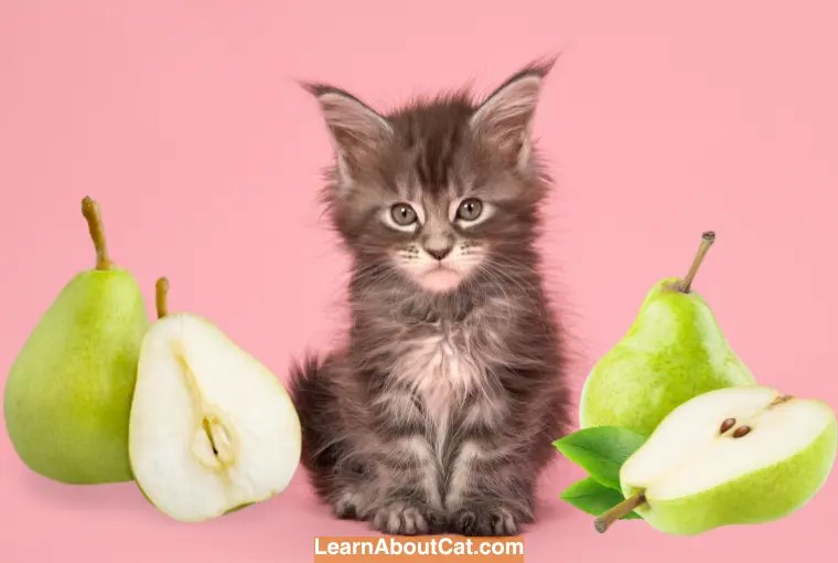 Can Cats Eat Pear? Exploring the Benefits and Risks of Feeding Your Cat