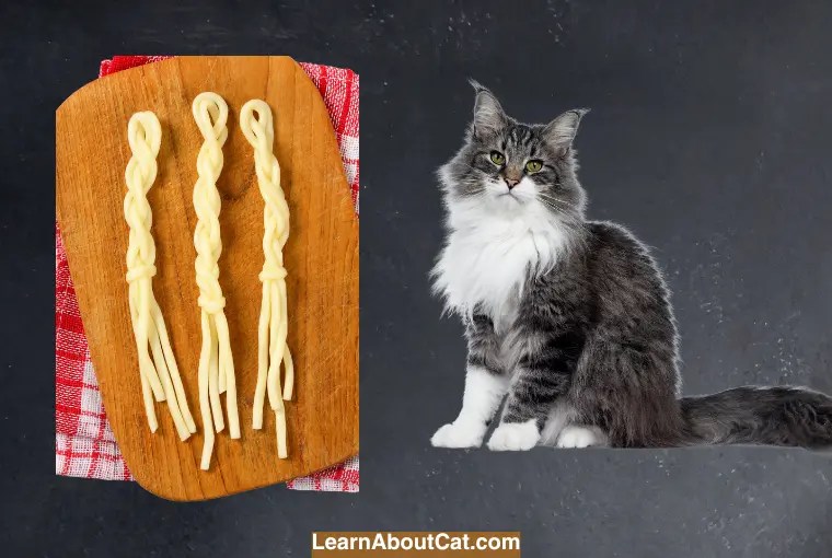 Can Cats Eat String Cheese? Examining the Compatibility of String