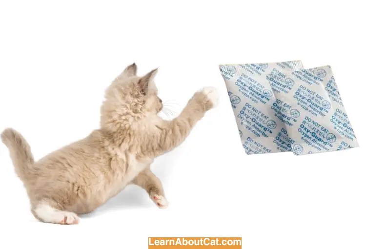 Cat Ate Oxygen Absorber The Dangers of Iron Oxygen Absorbers for Cats