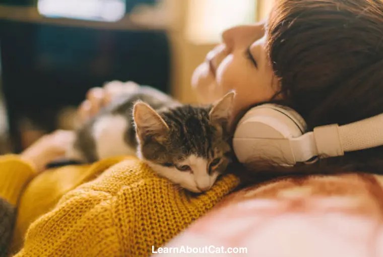 Why Does My Cat Sleep On Me? The Purrfect Bond Unraveling the Mystery