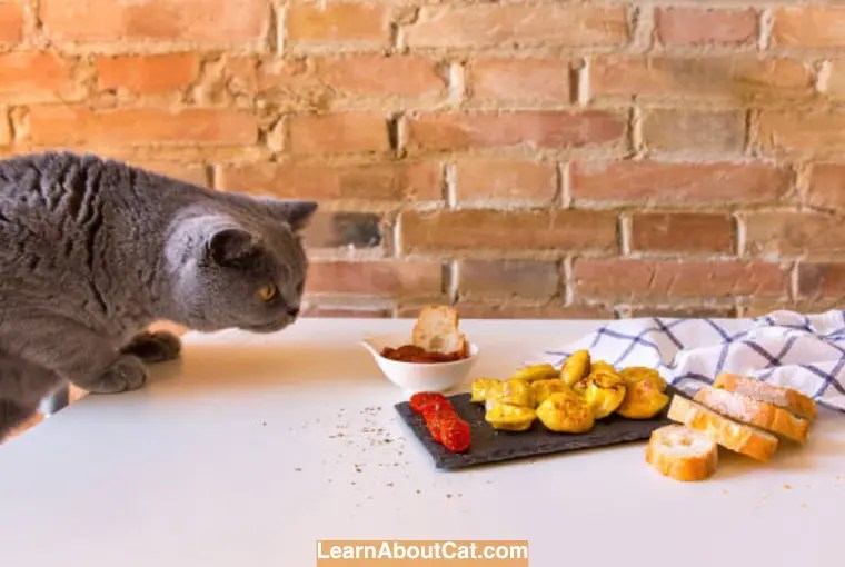 My Cat Ate My Garlic Bread What Should I Do [Answered]? LearnAboutCat