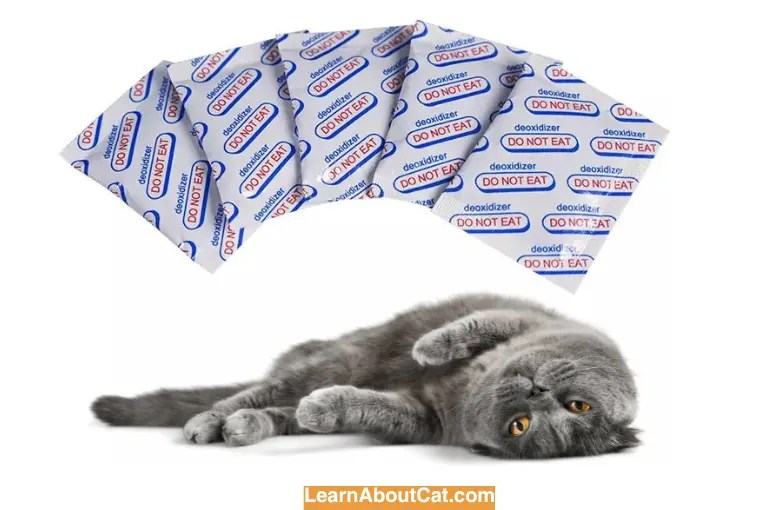 Cat Ate Oxygen Absorber The Dangers of Iron Oxygen Absorbers for Cats