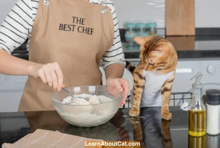 Is Baking Soda Safe for Cats? Is Baking Soda Safe to Use Around Cats