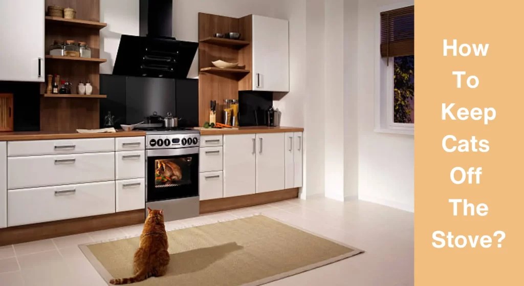 How To Keep Cats Off The Stove?[Answered] LearnAboutCat