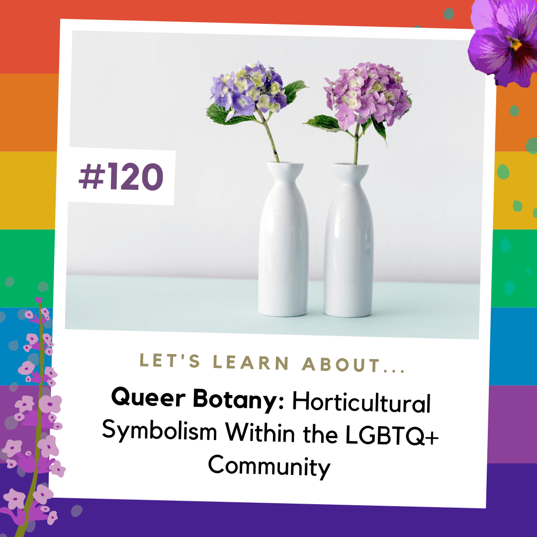 Queer Botany Horticultural Symbolism Within the LGBTQ+ Community