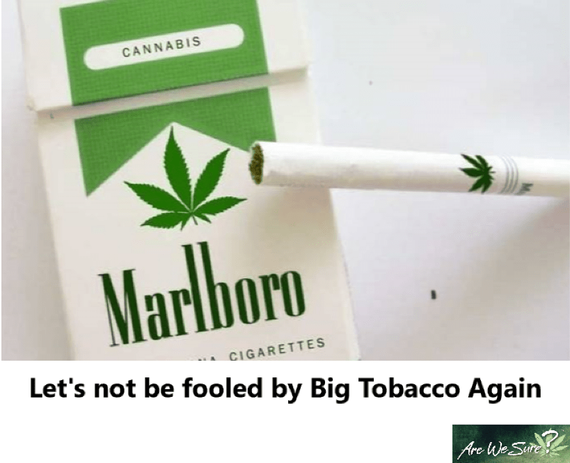 SAM Reacts to Marijuana Lobbying Group's Admission to Soliciting