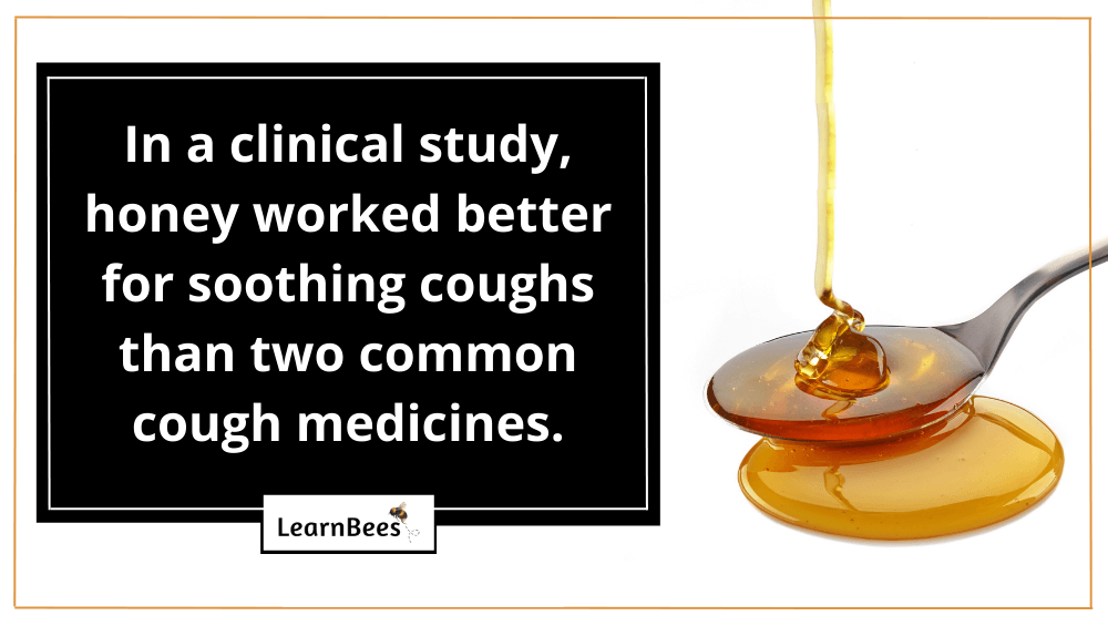 Wildflower Honey Are There Health Benefits? LearnBees