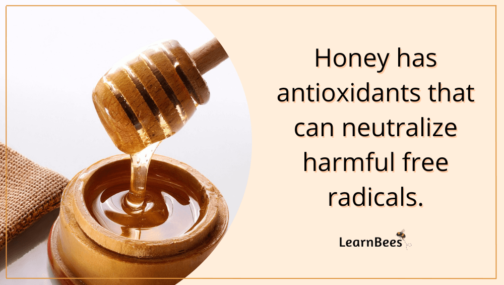 Wildflower Honey Are There Health Benefits? LearnBees