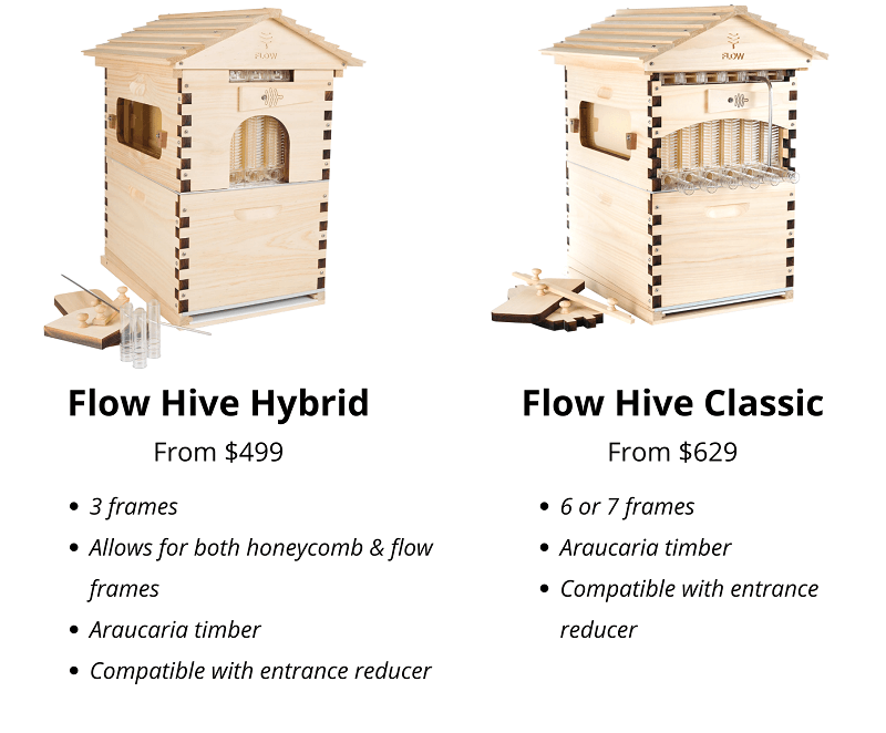 Flow Hive Review A Brutally Honest Guide That'll Save You Money