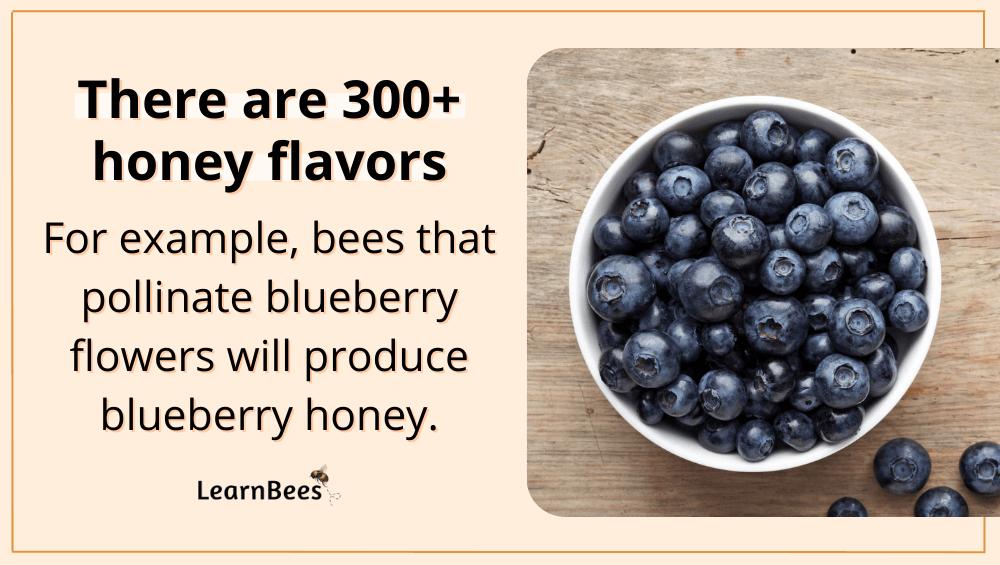 Do Bees Eat Honey? LearnBees