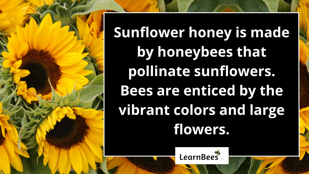 Sunflower Honey 101 The Taste, Health Benefits, & Risks