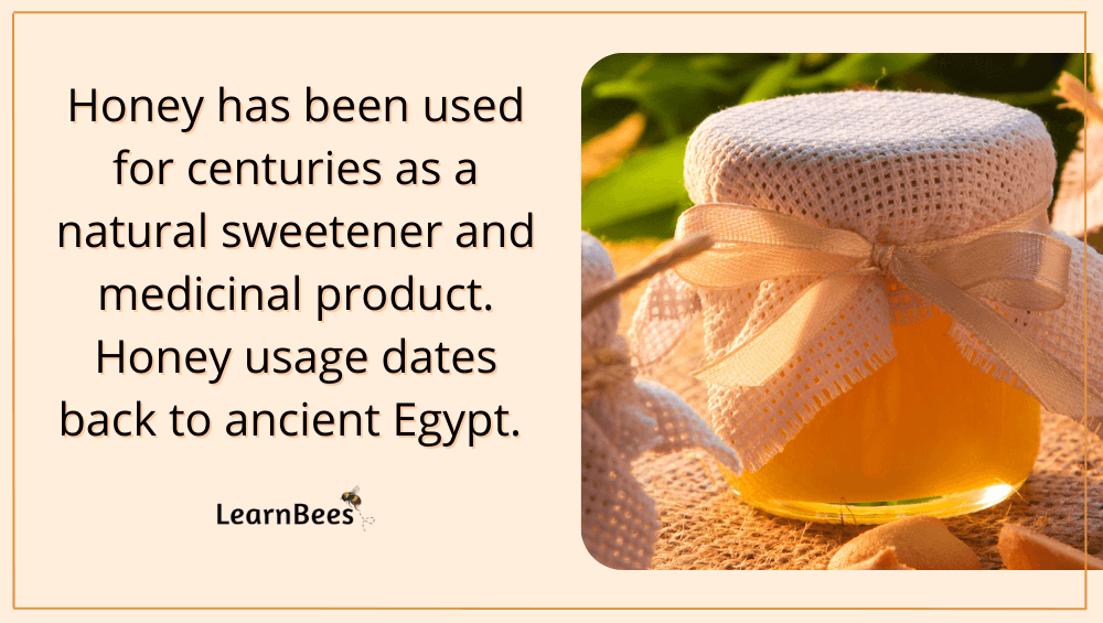 Goldenrod Honey 101 The Taste, Health Benefits, & Risks