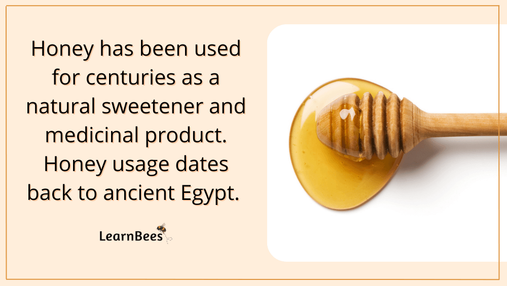 Sunflower Honey 101 The Taste, Health Benefits, & Risks