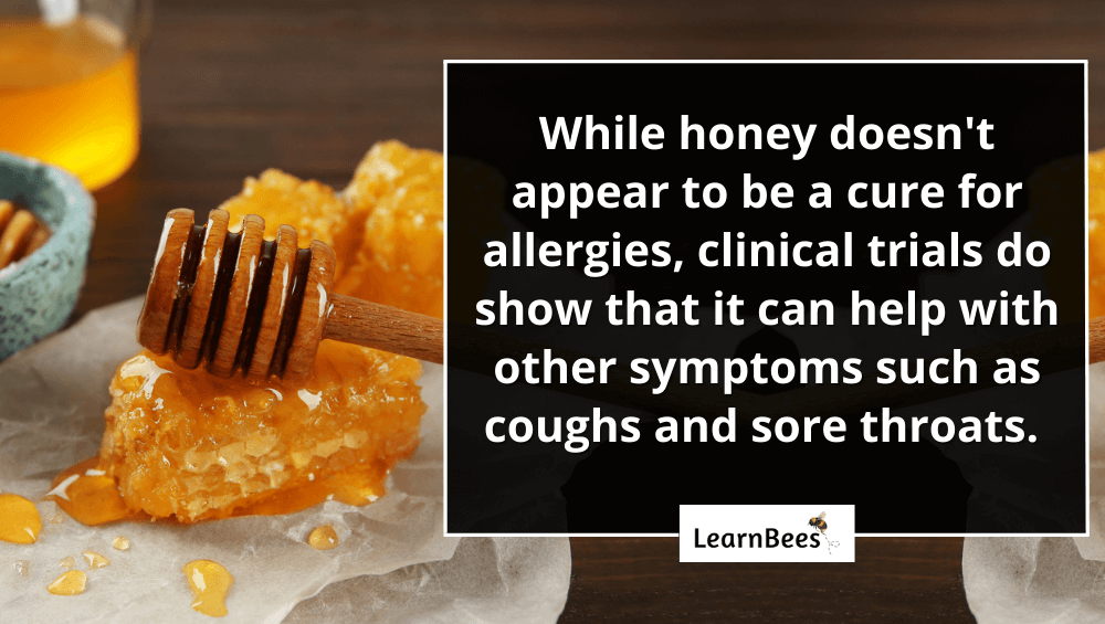 Honey For Allergies Is it a Possible Cure? LearnBees