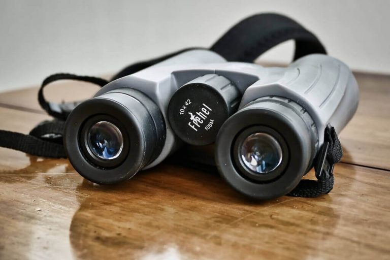 5 Best Binoculars for Bird Watching (Tested & Rated 2022) Learn Bird