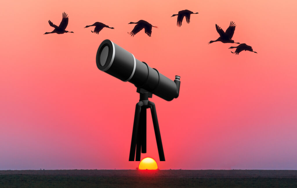 10 Best Monoculars For Bird Watching 2023 Learn Bird Watching