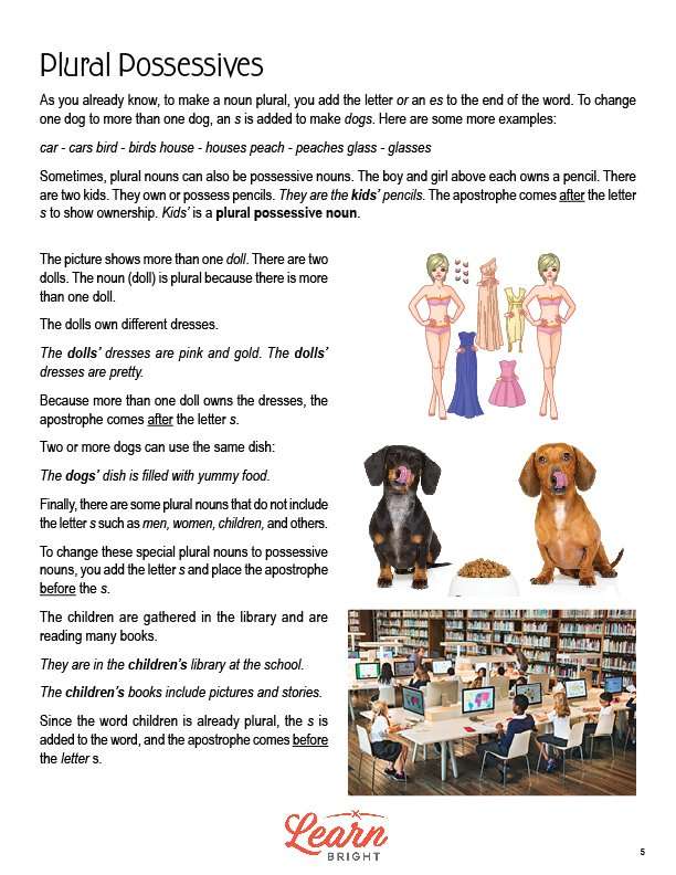 Possessive Nouns, Free PDF Download - Learn Bright