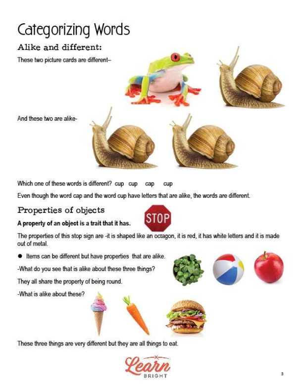 Categorizing Words, Free PDF Download Learn Bright