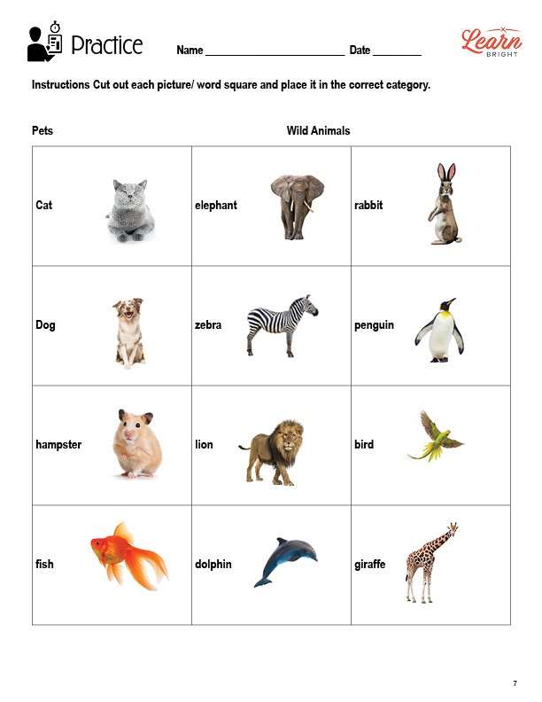 Categorizing Words, Free PDF Download Learn Bright