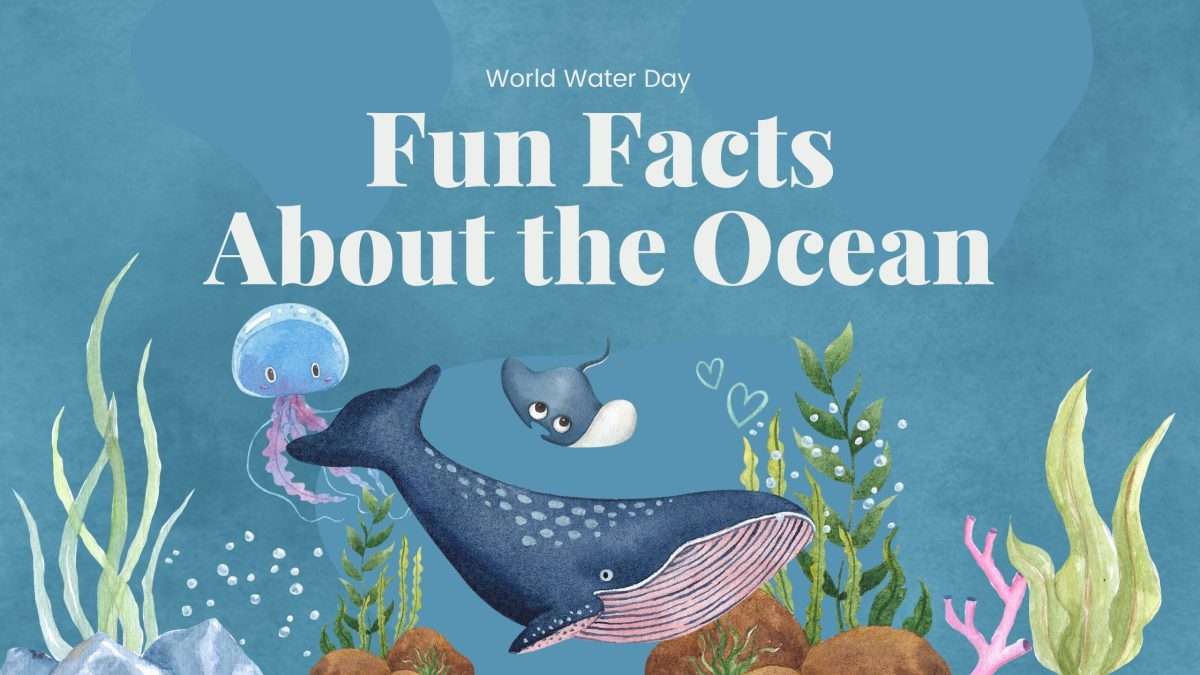 From Waves to Whales Fun Facts about Oceans