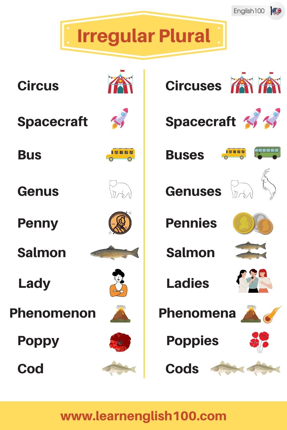 The List of Most Common Irregular Plural Nouns In English And Their