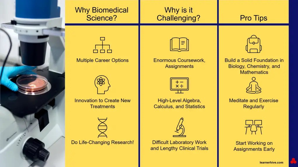 Is Biomedical Science Hard? (10 Things To Consider) LearnerHive